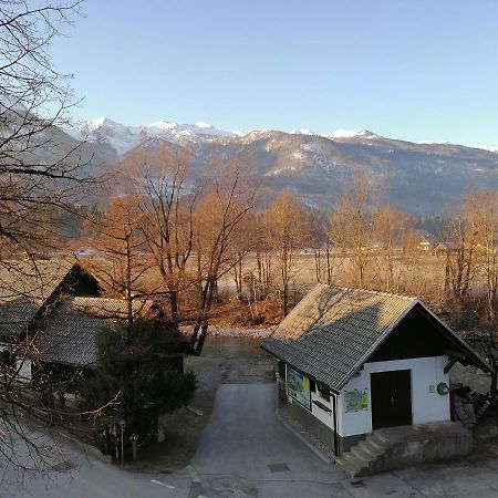 Apartma Kosnik Perunika Bohinj Esterno foto