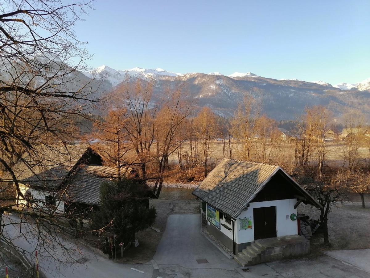 Apartma Kosnik Perunika Bohinj Esterno foto